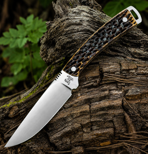 Hen rooster hunter fixed - hen,